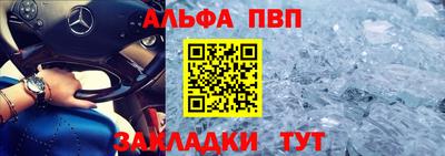 молекула духа Кингисепп