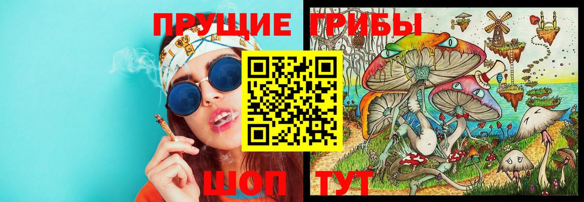 Кострома  Галлюциногенные грибы GOLDEN TEACHER  Вход с VPN 