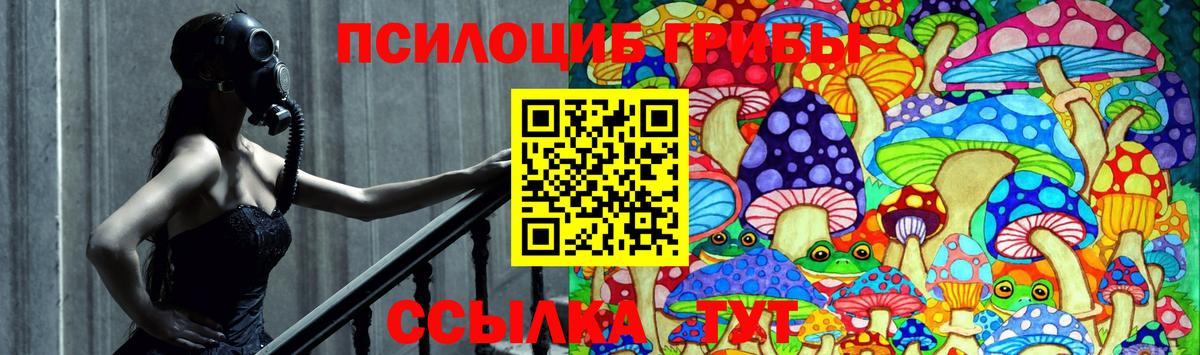 Псилоцибиновые грибы прущие грибы Кострома