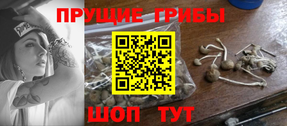 Бошки Шишки  Вход с VPN  APVP СОЛЬ   Кострома  Меф   ГАШИШ  ЭКСТАЗИ 